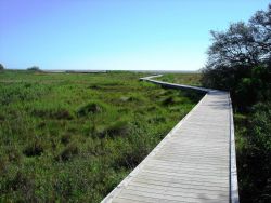 Mission-Aransas National Estuarine Research Reserve. Image