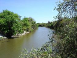 Mission-Aransas National Estuarine Research Reserve. Image