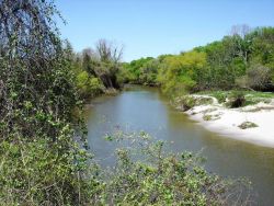 Mission-Aransas National Estuarine Research Reserve. Image