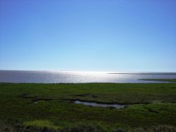 Mission-Aransas National Estuarine Research Reserve. Image