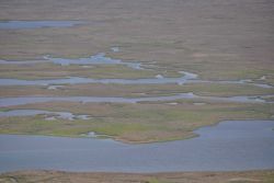 Aerial survey of the Northern portion of Point Aux Chenes Bay. Image