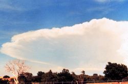 Anvil of large cumulonimbus thunderhead during early stages of developing storm. Image