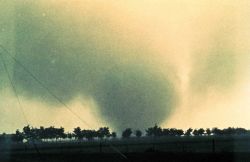 Altus Tornado. Image