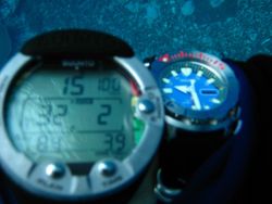 Diver's watch Image