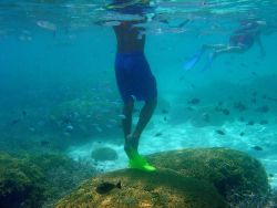 Dive tourism can place additional stress on reefs Image