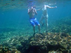 Dive tourism can place additional stress on reefs Image