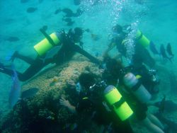 Dive tourists loving a coral reef structure to death as touching can damage or kill delicate coral polyps. Image