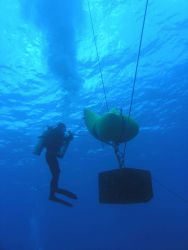 During Liftbag Training a diver lifts a mooring block. Image
