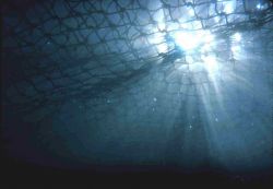 A piece of marine debris net is silhouetted by the sun in the shallow waters of Lisianski Island, NWHI. Image