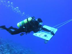 A tow-fish survey - a scientist is towed behind a small boat in order to cover a Image