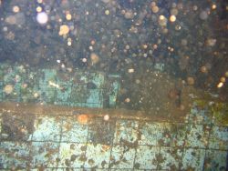 Debris from shipwreck Image