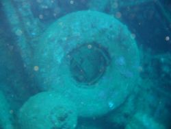 Debris from shipwreck Image