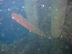 Debris from shipwreck Image