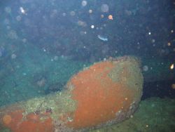 Debris from shipwreck Image