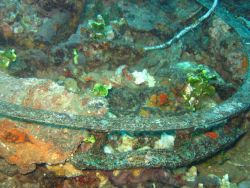 Debris on the Kansho Maru. Image