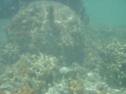 Diver carefully inspecting World War II mine that drifted to Pearl and Hermes Reef. Image