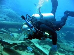 Diver inspecting modern ship wreck on Pearl and Hermes Reef. Image