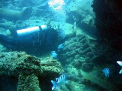 Diver inspecting modern ship wreck on Pearl and Hermes Reef. Image