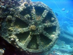 Debris from modern ship wreck on Pearl and Hermes Reef. Image