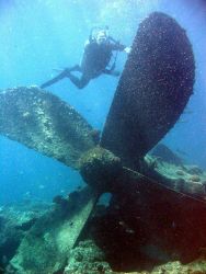 Diver next to propeller giving concept of scale of machinery from modern ship wreck on Pearl and Hermes Reef. Image
