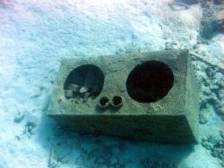 Debris from early Twentieth Century wreck on Pearl and Hermes Reef Image