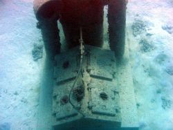 Debris from early Twentieth Century wreck on Pearl and Hermes Reef Image