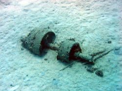 Debris from early Twentieth Century wreck on Pearl and Hermes Reef Image