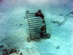 Debris from early Twentieth Century wreck on Pearl and Hermes Reef Image