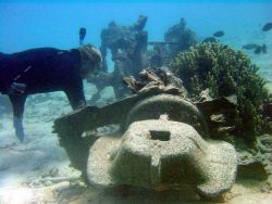 Debris from early Twentieth Century wreck on Pearl and Hermes Reef Image
