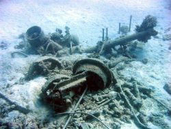 Debris from early Twentieth Century wreck on Pearl and Hermes Reef Image