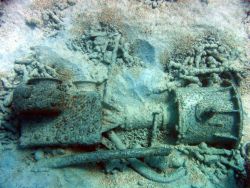 Debris from early Twentieth Century wreck on Pearl and Hermes Reef Image