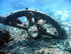 Debris from early Twentieth Century wreck on Pearl and Hermes Reef Image
