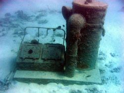 Debris from early Twentieth Century wreck on Pearl and Hermes Reef Image