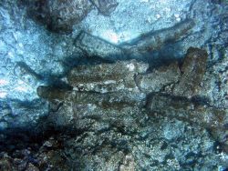 Debris from ship wreck of early Nineteenth Century whaling vessel on Pearl and Hermes Reef. Image