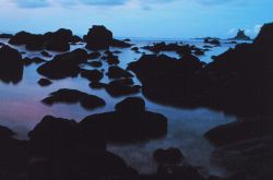 Rocks and reef at low tide along the shores of America Samoa Image