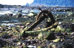 Remains of an anchor at Cape Alava Image