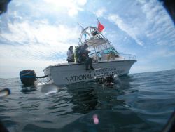 Divers Benjamin Cowie-Haskell and Deborah Marx climb back onboard the R/V Gannet after an investigation of the shipwreck Paul Palmer Image