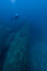 Diver over wreckage of the NORTHERN LIGHT, a shipwreck in 190 feet water depth Image
