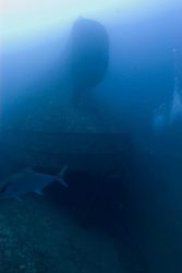 Divers on the shipwreck of the NORTHERN LIGHT at 190 feet. Image