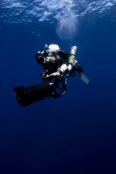 Diving archaeologist descending to the remains of the NORTHERN LIGHT. Image