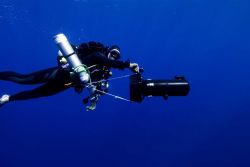Diving archaeologist descending to the remains of the NORTHERN LIGHT. Image