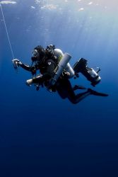 Diving archaeologist descending to the remains of the NORTHERN LIGHT. Image