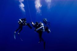 Diving archaeological team descending to the remains of the NORTHERN LIGHT. Image