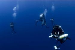 Diving archaeological team descending to the remains of the NORTHERN LIGHT. Image