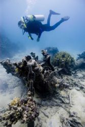 Diver investigates the anchor windlass at the OSHIMA shipwreck site. Image