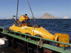 Delta Submersible with south east Farallones island in background Image