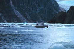 RA-2 running a survey line while dodging bergy bits in Tracy Arm Image