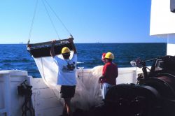 Bongo nets, used to capture plankton, being deployed Image