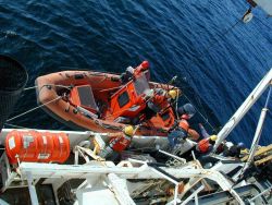 Operations on the NOAA Ship McARTHUR during Stenella abundance cruises. Image