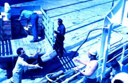 Loading supplies on Coast and Geodetic Survey Ship SURVEYOR at San Diego. Image